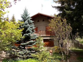 Chalet de montagne chaleureux